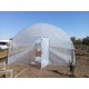 Solar Gradina 6x10 m, folie 180 microni, teava zinc 33,7 x 2 mm - detaliu structura