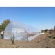 Solar Gradina 6x16 m, folie 180 microni, teava zinc33,7 x 2 mm - vedere laterala